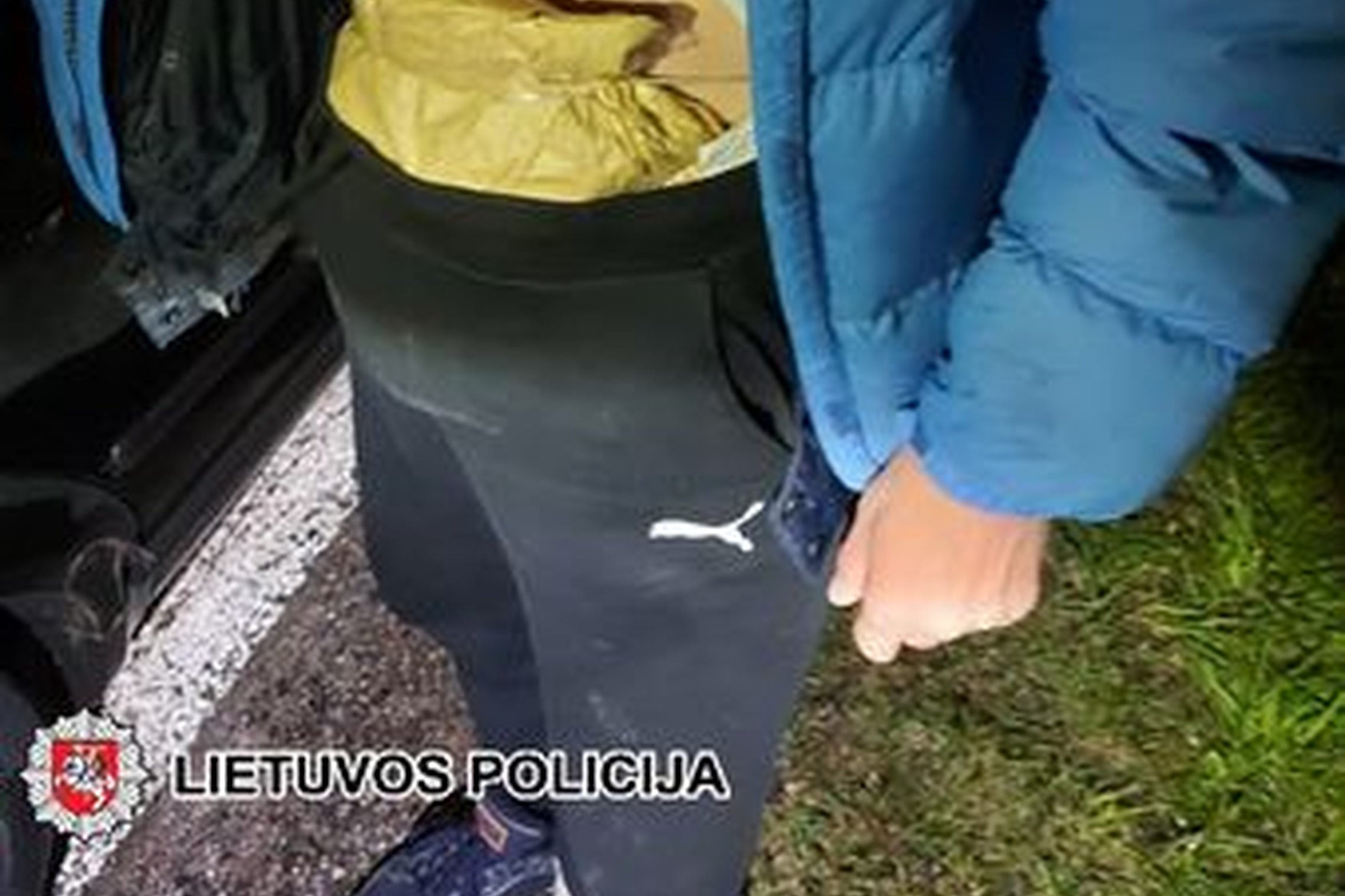Iliustracija