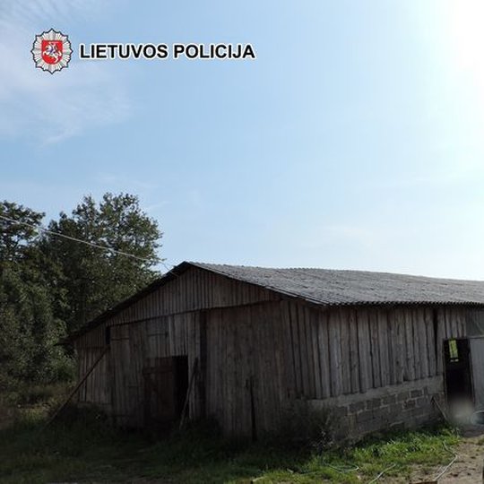 Iliustracija