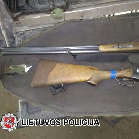 Iliustracija