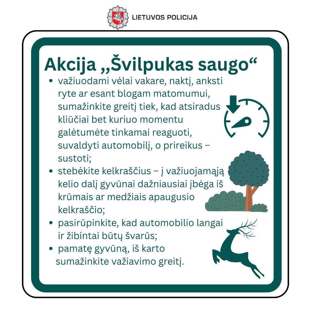 2025_ŠVILPUKAS_SAUGO.jpg